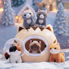 Load image into Gallery viewer, Personalized Cute Plush Cat House Toy Set with 5 Kittens